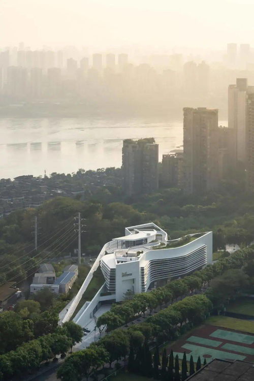 源道建筑力作 重慶三峽文物科技保護基地，頂超瞰科技守護千年文明